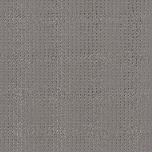 Soft Symmetry Grounded Gray